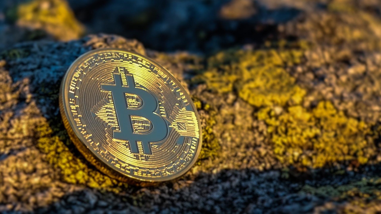 马斯克回归特斯拉、减少DOGE工作！TSLA与狗狗币双双暴涨